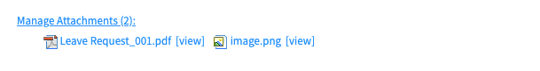 Manage Attachments Widget