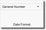 Example Number Format